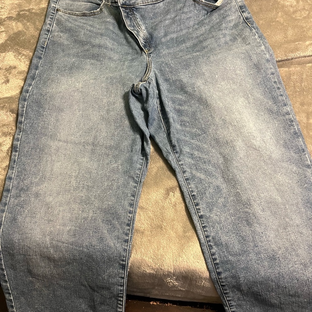 Lane Bryant Relaxed Fit Blue Women’s Jeans